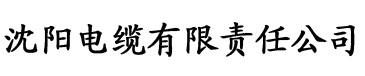 草莓视频网站入口网址ios电缆厂logo